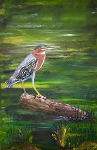 Green Heron's Spot