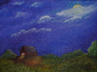 Starry Night on the Farm